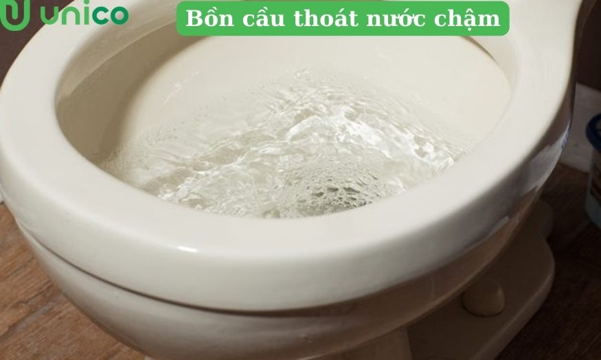 bồn cầu thoát nước chậm