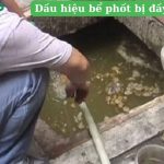 Dấu hiệu bể phốt bị đầy